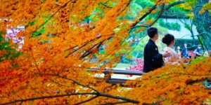 四季折々の景色が楽しめる！日本庭園がある東京の結婚式場４選