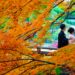 四季折々の景色が楽しめる！日本庭園がある東京の結婚式場４選